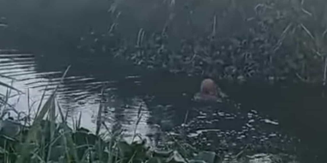 Una mujer que padece de sus facultades mentales se lanzó a bañar a una de las lagunas ubicada en el fraccionamiento Santa Elena en Altamira