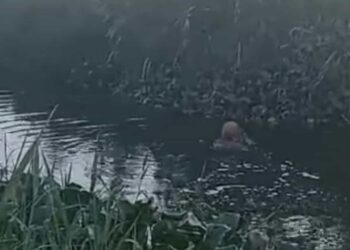 Una mujer que padece de sus facultades mentales se lanzó a bañar a una de las lagunas ubicada en el fraccionamiento Santa Elena en Altamira