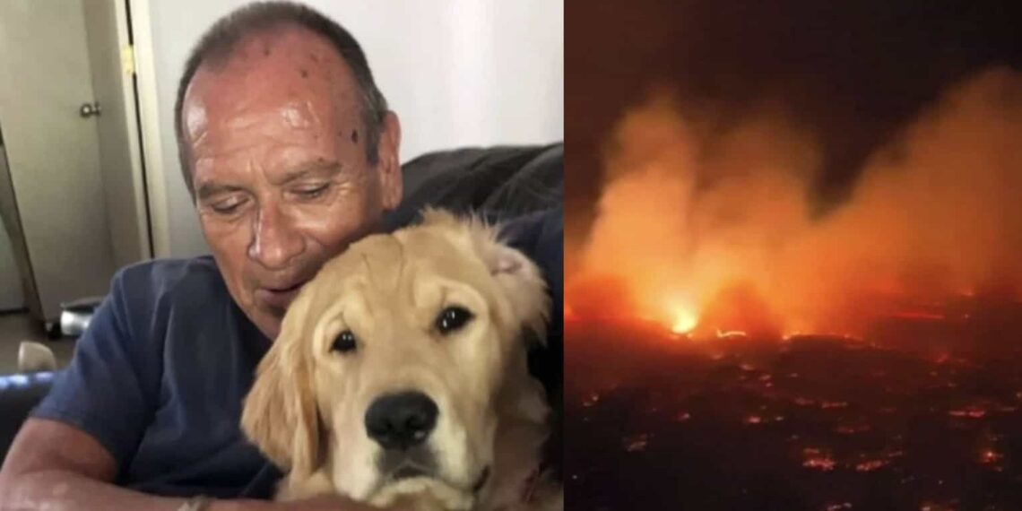 "Sam" era mascota de los amigos de Franklin Trejos, sin embargo el hombre la cuidaba como si fuera suya.