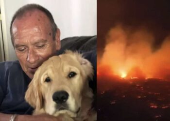 "Sam" era mascota de los amigos de Franklin Trejos, sin embargo el hombre la cuidaba como si fuera suya.