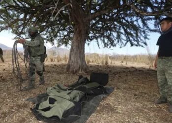 De acuerdo con el reporte oficial, el estado del país con mayor incidencia de estos artefactos explosivos es Michoacán, con 881.