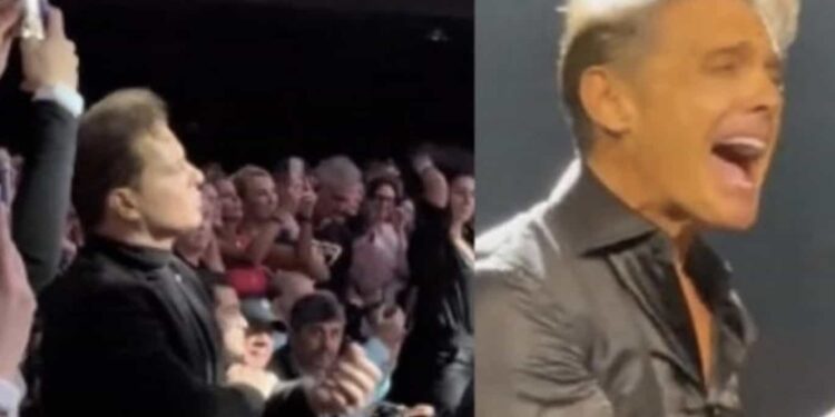 En TikTok circula un video del concierto de Luis Miguel en Argentina, en donde aseguran que entre el público estaba el cantante