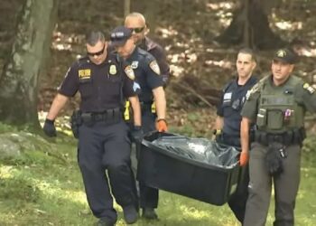 Las autoridades atacaron al oso para poder tranquilizarlo y revisar si tenía rabia.