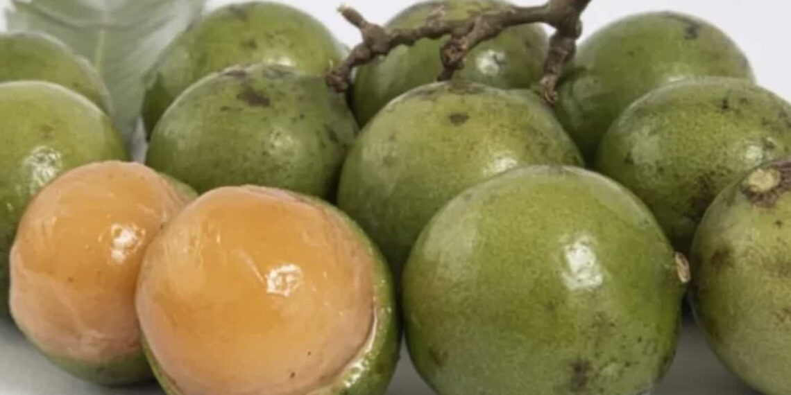 Niño muere asfixiado por la semilla de una fruta exótica