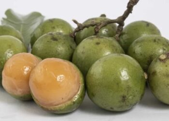 Niño muere asfixiado por la semilla de una fruta exótica