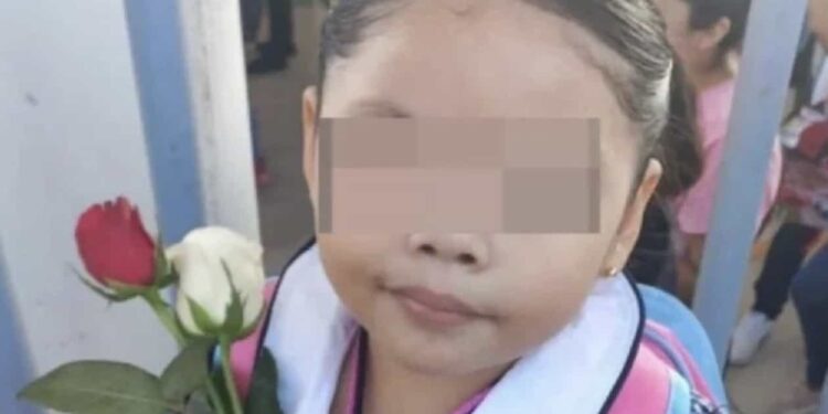 Zoé falleció por asfixia luego que su cuello quedara atorado en las escaleras de una resbaladilla donde se encontraba jugando.