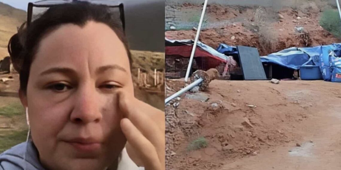 La compañía envió maquinaria pesada la cual destruyó el lugar con los animalitos dentro.