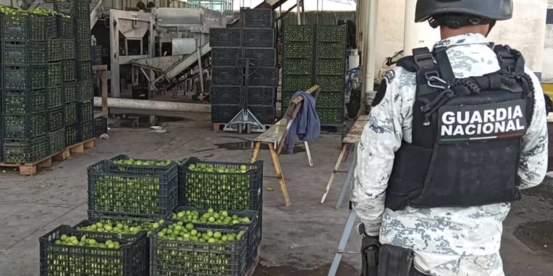 Autoridades enfatizaron en la importancia de la denuncia para evitar una presunta complicidad y mayor deterioro en el sector.