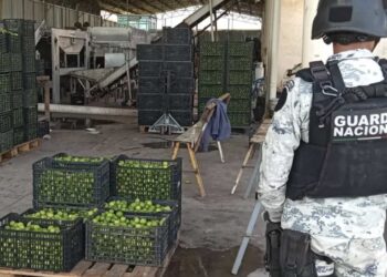 Autoridades enfatizaron en la importancia de la denuncia para evitar una presunta complicidad y mayor deterioro en el sector.