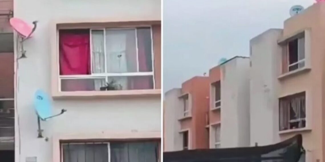 Se encontraban dormidos, solos y cuando despertaron se asomaron por la ventana y ocurrió el accidente