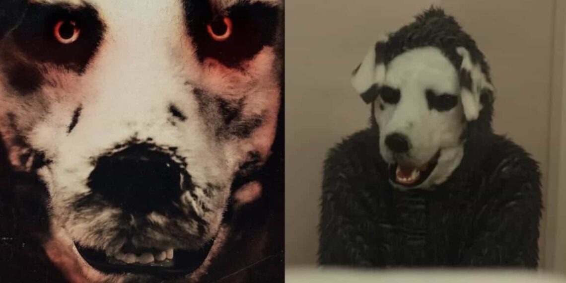 Si tienes miedo a los perros, éste filme podría, en cierto modo, darte la razón del porqué a veces dicho animal no es el mejor amigo del hombre.