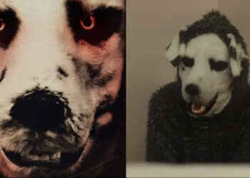 Si tienes miedo a los perros, éste filme podría, en cierto modo, darte la razón del porqué a veces dicho animal no es el mejor amigo del hombre.