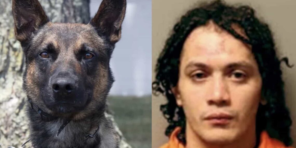 El maleante había sido condenado a cadena perpetua, por lo que decidió escapar, pero fue detenido.