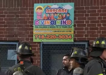 Los padres de familia están en shock, ya que jamás imaginaron que el dueño de la guardería tuviese este tipo de drogas bajo su resguardo.