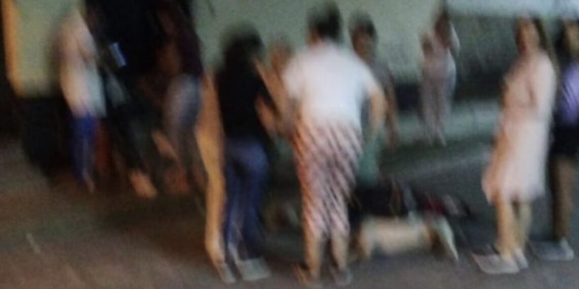 La mascota fue abatida tras una ráfaga de disparos después de lanzarse contra los delincuentes