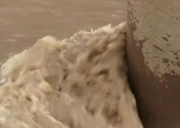 Según los datos oficiales, la patrulla fronteriza interceptó en frontera con México a 132 mil 652 migrantes en julio.