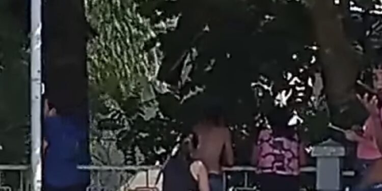 'Regrésanos a Paco', familia grita al río luego que niño fuera arrastrado por corriente