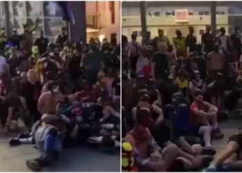 Los participantes son integrantes del movimiento conocido como transespecie