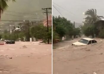 El fenómeno presentó vientos sostenidos de 155 kilómetros por hora, con rachas de 195 kilómetros por hora.
