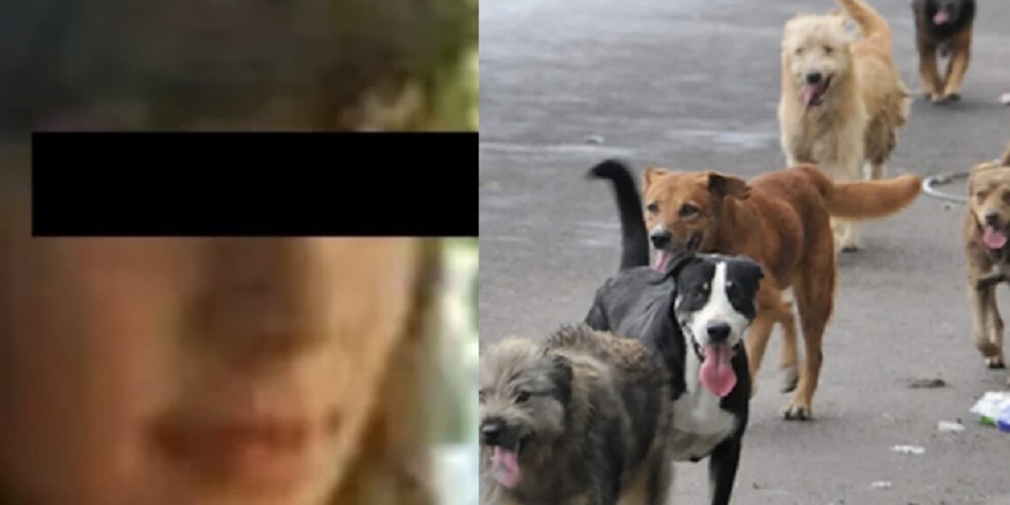 Los hechos ocurrieron en Roales del Pan, en las inmediaciones de Zamora, España, donde la chica estaba paseando por el campo en plena llamada telefónica