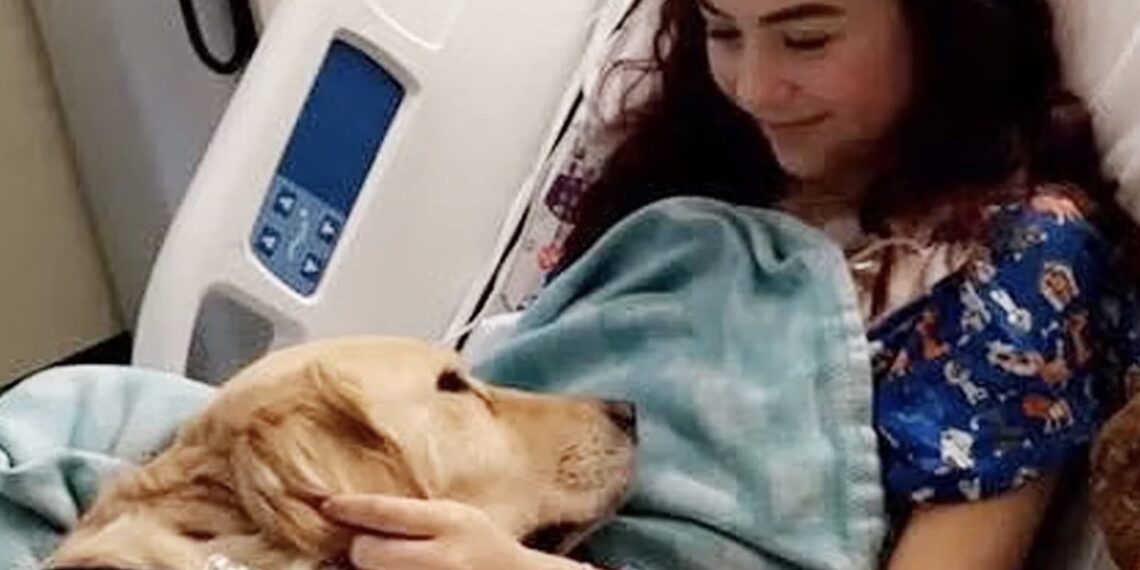 El Departamento de Policía de Kansas City identificó a Aria Mia González como una de las mujeres fallecidas en un automóvil que se vio involucrado en una colisión durante la madrugada