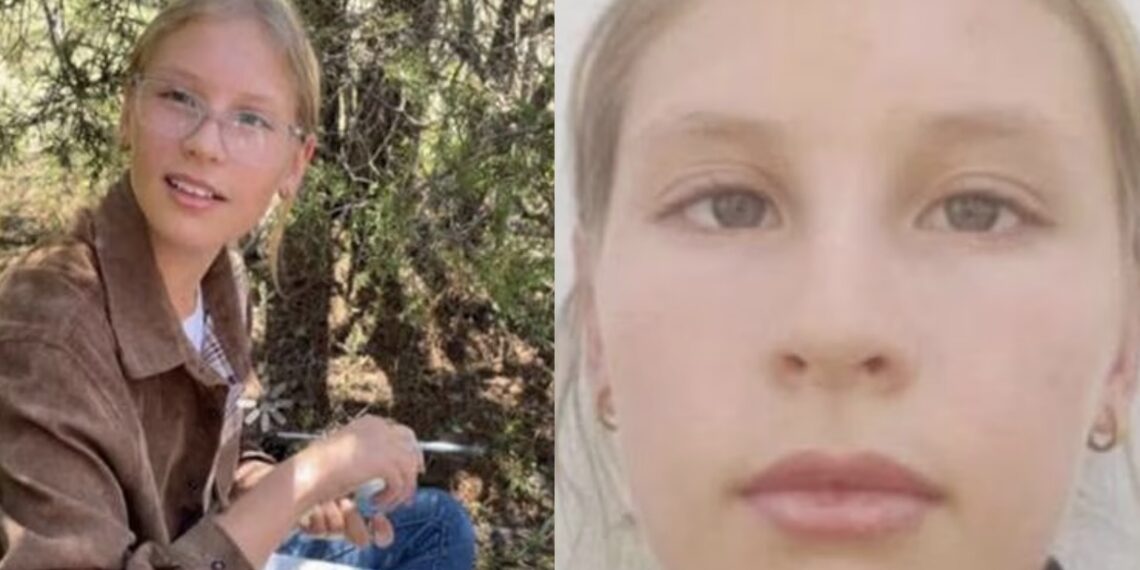 La familia pidió en redes sociales que reportaran cualquier hallazgo de la hija de Julián LeBarón, quien pudo haber sido secuestrada.