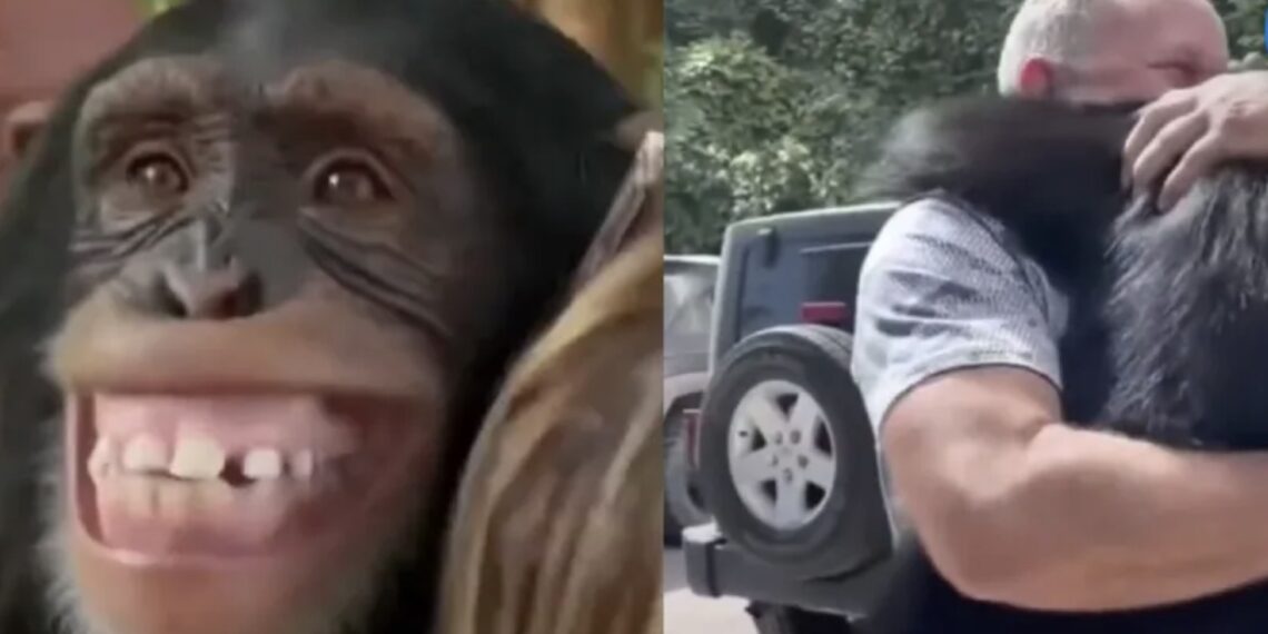 El emotivo video se hizo viral en “X”, debido a la reacción tan auténtica del primate.