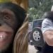 El emotivo video se hizo viral en “X”, debido a la reacción tan auténtica del primate.