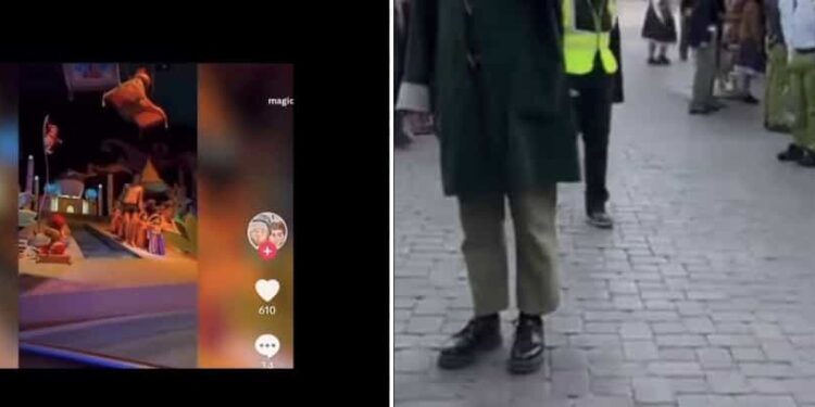 Un hombre se desnudó en una de las atracciones de Disneyland mas concurridas.