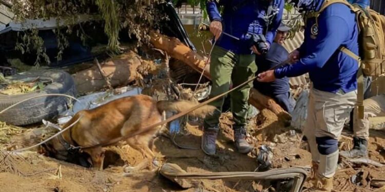 Angelly quedó sepultada luego de que el cerro La Cumbre se derrumbara.