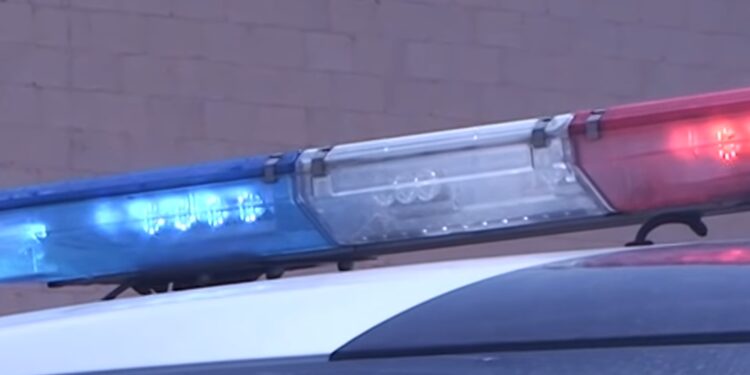 La policía local recibió una llamada, hecha por una menor, que dijo que su primo "estaba matando a integrantes de su familia en Nueva York".