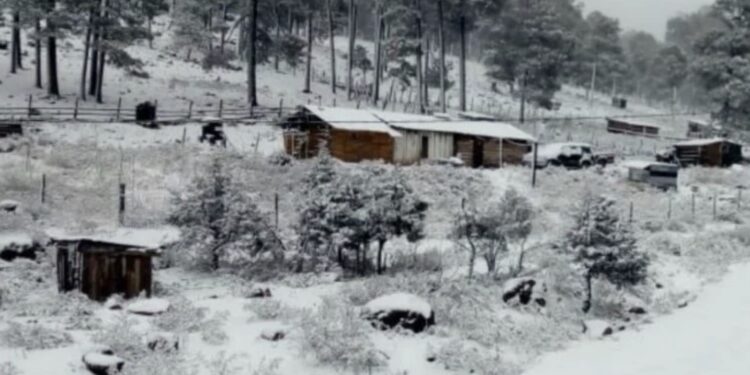 En este lugar el frío predomina la mayor parte del tiempo, con temperaturas de hasta -25 grados