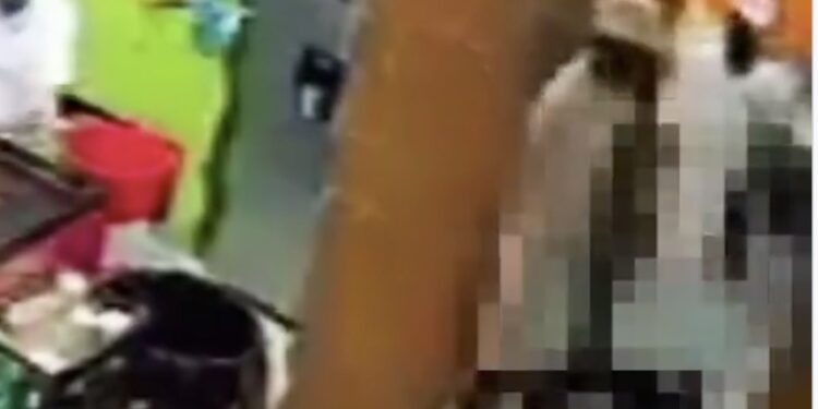 La discusión repentina entre dos de ellos desencadena el ataque, dejando a uno gravemente herido mientras el resto parece desconcertado por la situación.