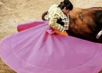 Las corridas de toros dejaron de hacerse desde 2022, pero ahora, tras un proyecto presentado por la ministra Yasmín Esquivel, los espectáculos taurinos volverán a realizarse en la capital del país.