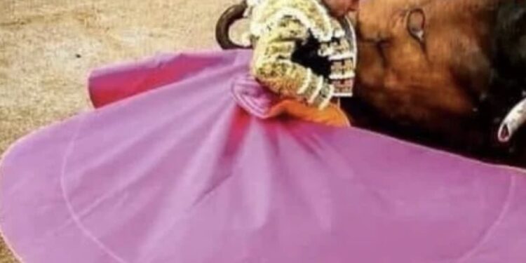 Las corridas de toros dejaron de hacerse desde 2022, pero ahora, tras un proyecto presentado por la ministra Yasmín Esquivel, los espectáculos taurinos volverán a realizarse en la capital del país.