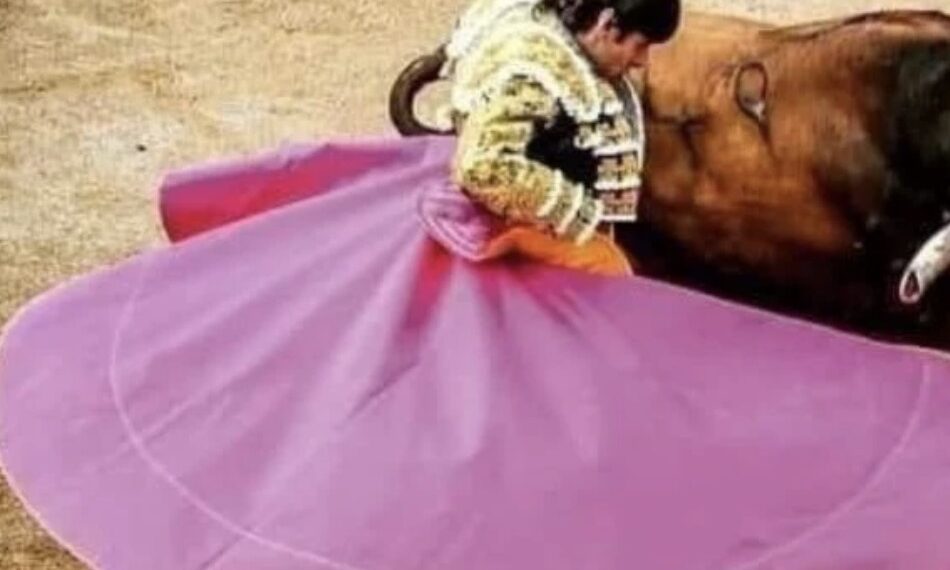 Las corridas de toros dejaron de hacerse desde 2022, pero ahora, tras un proyecto presentado por la ministra Yasmín Esquivel, los espectáculos taurinos volverán a realizarse en la capital del país.