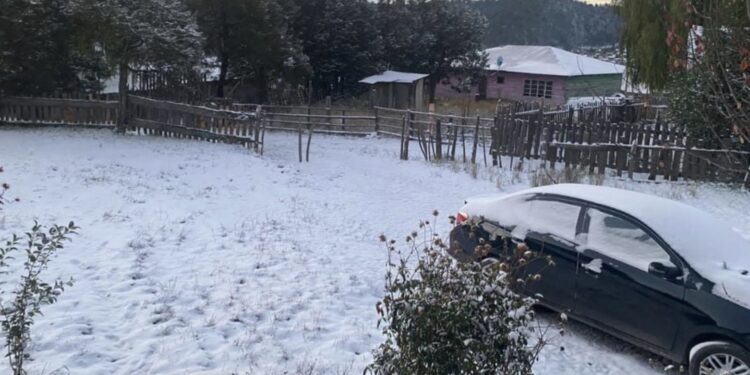 Todo está encaminado para que ciertos estados del país se cubran de blanco de cara a las festividades decembrinas.