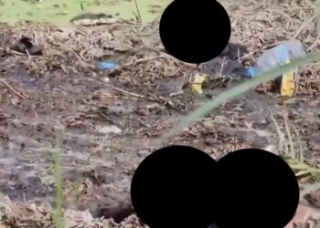 La personas que filmaron el incidente gritan y lloran al darse cuenta de que dos hombres no pueden liberarse del fango.