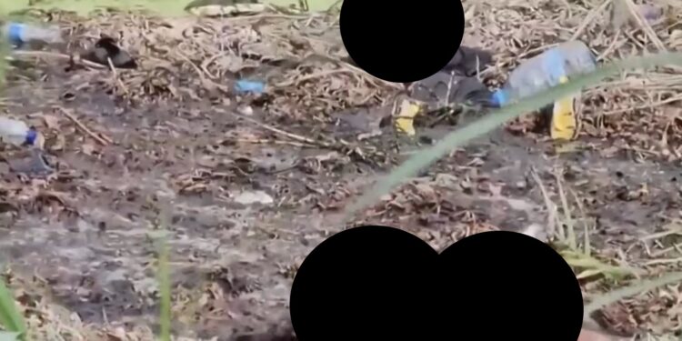 La personas que filmaron el incidente gritan y lloran al darse cuenta de que dos hombres no pueden liberarse del fango.