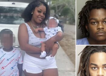 La mujer intentó detener la pelea entre sus dos hermanos, sin embargo, fue asesinada.