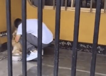 El nuevo jugador de Pumas, Piero Quispe, hizo una pausa en el trayecto hacia México para despedirse de su perrito Drago; el vídeo se viralizó en redes