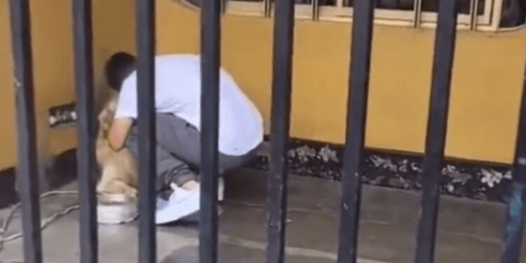 El nuevo jugador de Pumas, Piero Quispe, hizo una pausa en el trayecto hacia México para despedirse de su perrito Drago; el vídeo se viralizó en redes