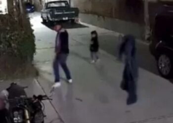 En redes se viralizó un video en el que se observa cómo el sujeto agarra a patadas a los perritos.