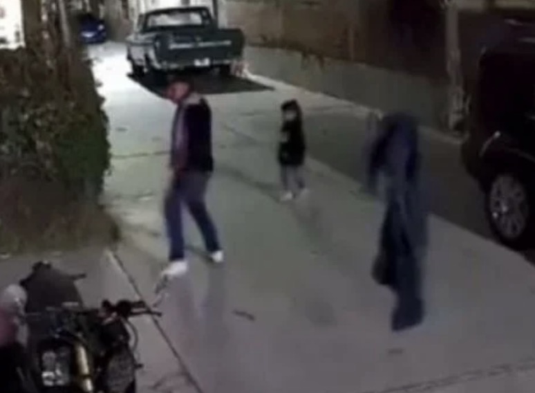 Captan a hombre golpeando a perritos frente a una niña. Noticias en tiempo real