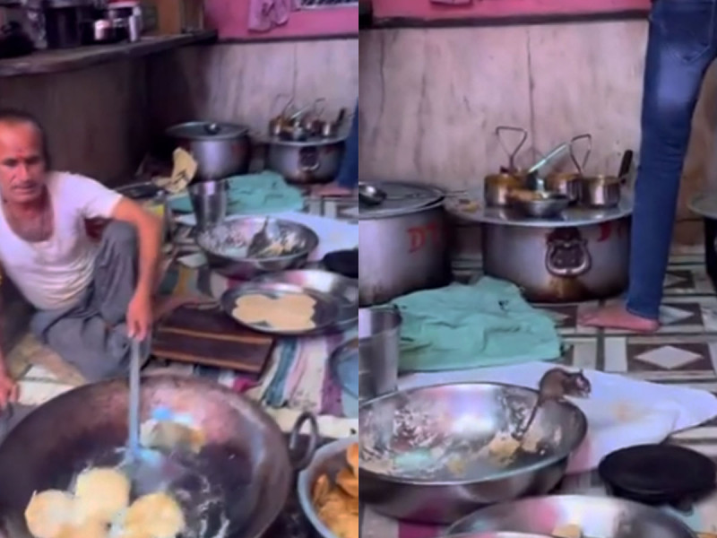 ¡Ratatouille! Viralizan video de ratas en cacerolas en puesto callejero de comida. Noticias en tiempo real