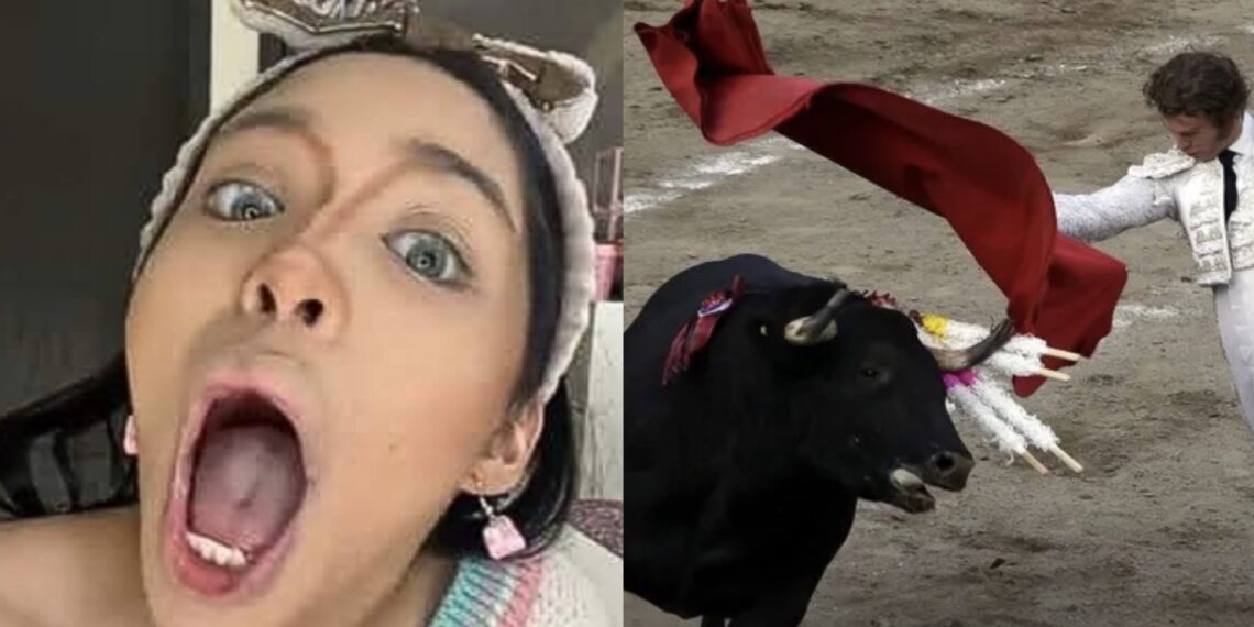 Las corridas de toro regresaron a la monumental Plaza México en la CdMx lo que ha provocado opiniones divididas entre la población.