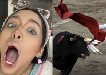 Las corridas de toro regresaron a la monumental Plaza México en la CdMx lo que ha provocado opiniones divididas entre la población.