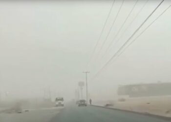 Se pronostican intervalos de chubascos en Campeche, Chiapas, Nuevo León, Quintana Roo, Tamaulipas, Veracruz y Yucatán.