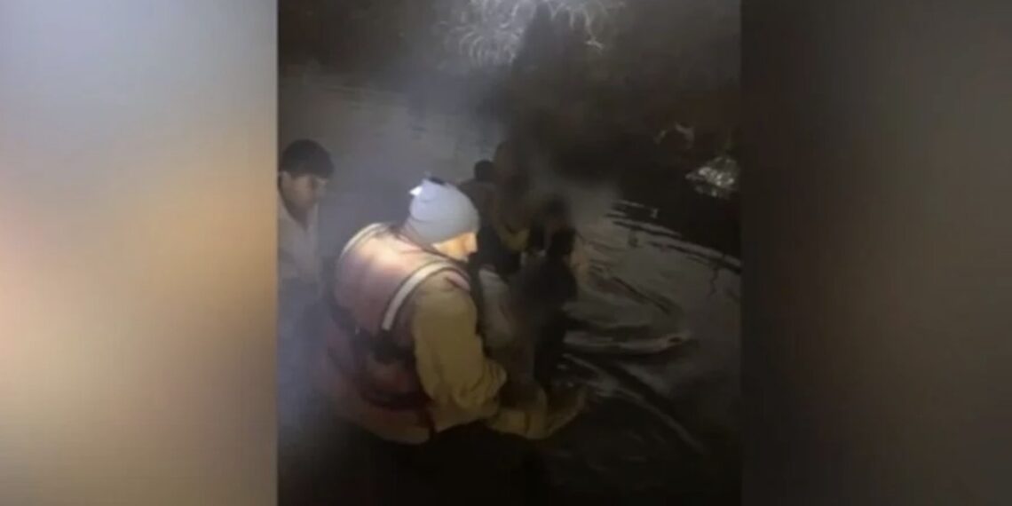 La mujer y sus hijos fueron envueltos en sábanas térmicas para ayudar a recuperar el calor corporal, al presentar síntomas graves de hipotermia.