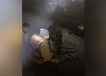 La mujer y sus hijos fueron envueltos en sábanas térmicas para ayudar a recuperar el calor corporal, al presentar síntomas graves de hipotermia.